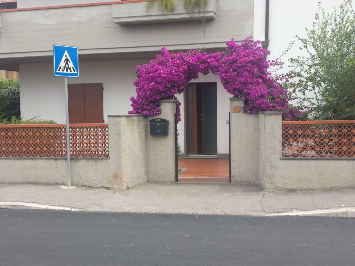 Villa Lory אלביניה מראה חיצוני תמונה
